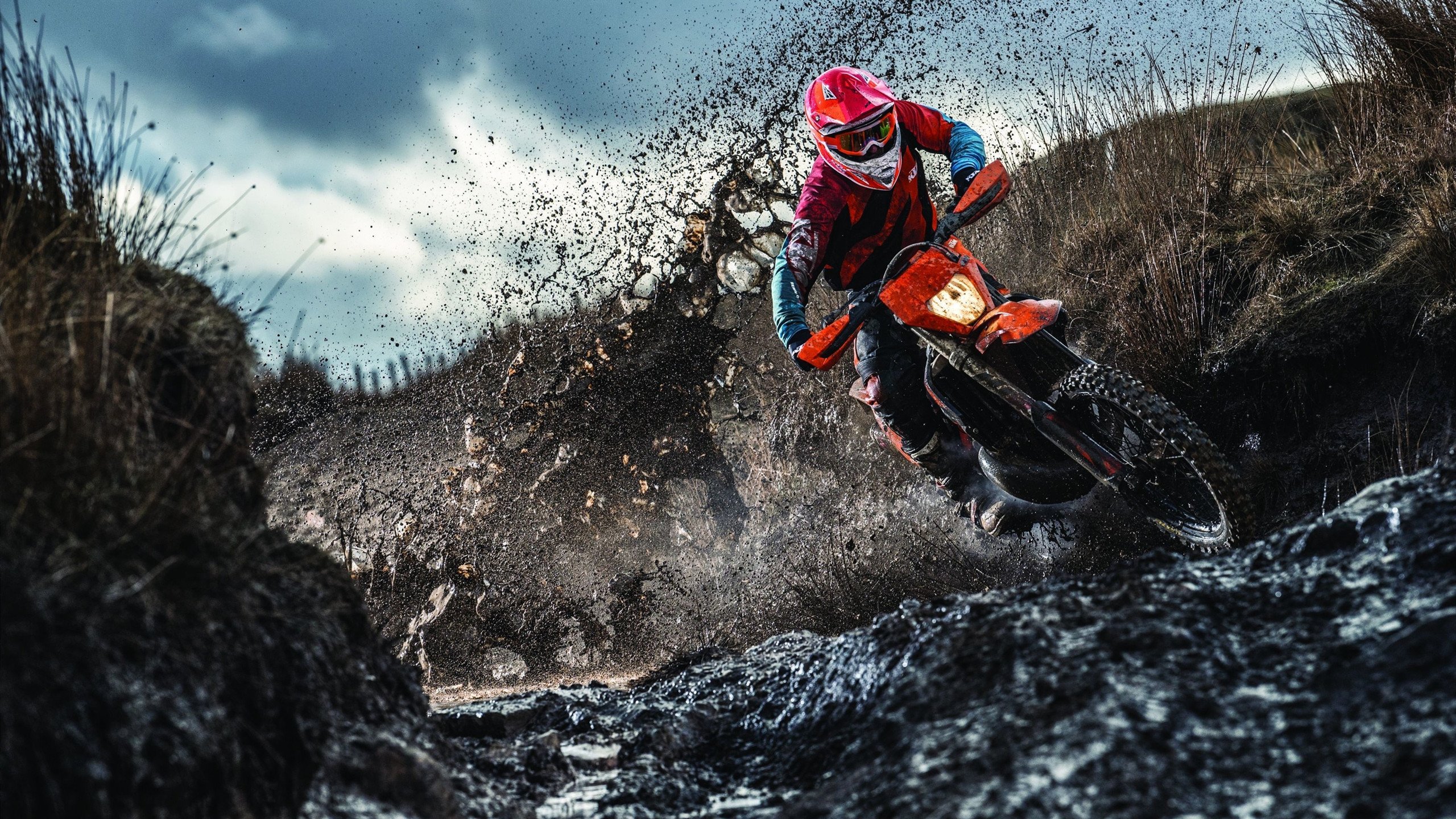 “亚戈·卡尔曼的全面技术，成为阿根廷美洲狮队的关键力量”