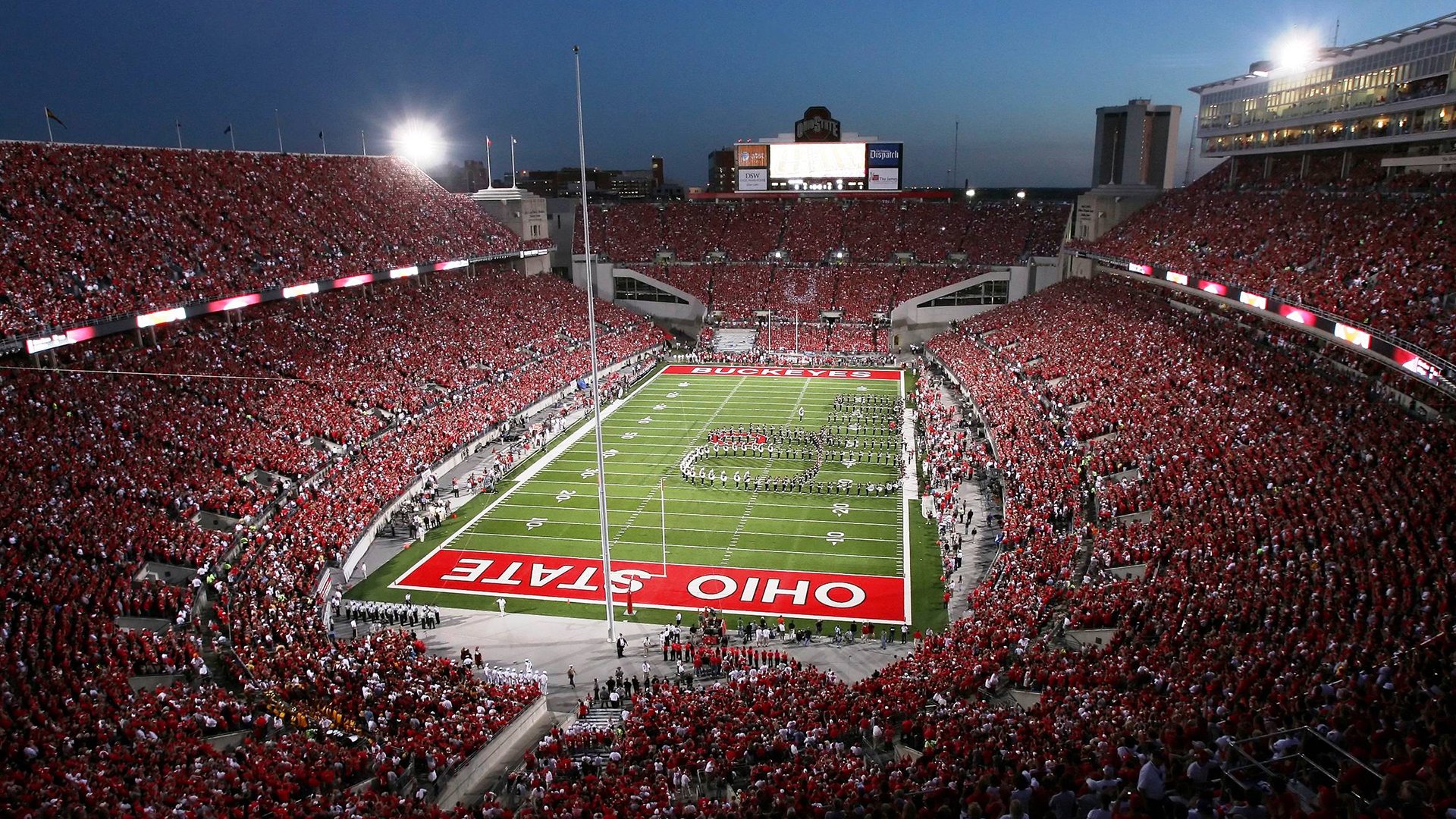 格林伍德的冷静应对与出色的球场位置感，帮助袋鼠队稳定防线，格林伍德打什么位置