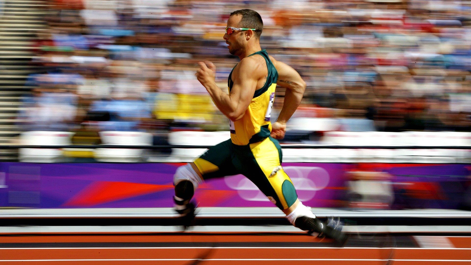 体育新闻中心独家专栏上线，体育新闻f1